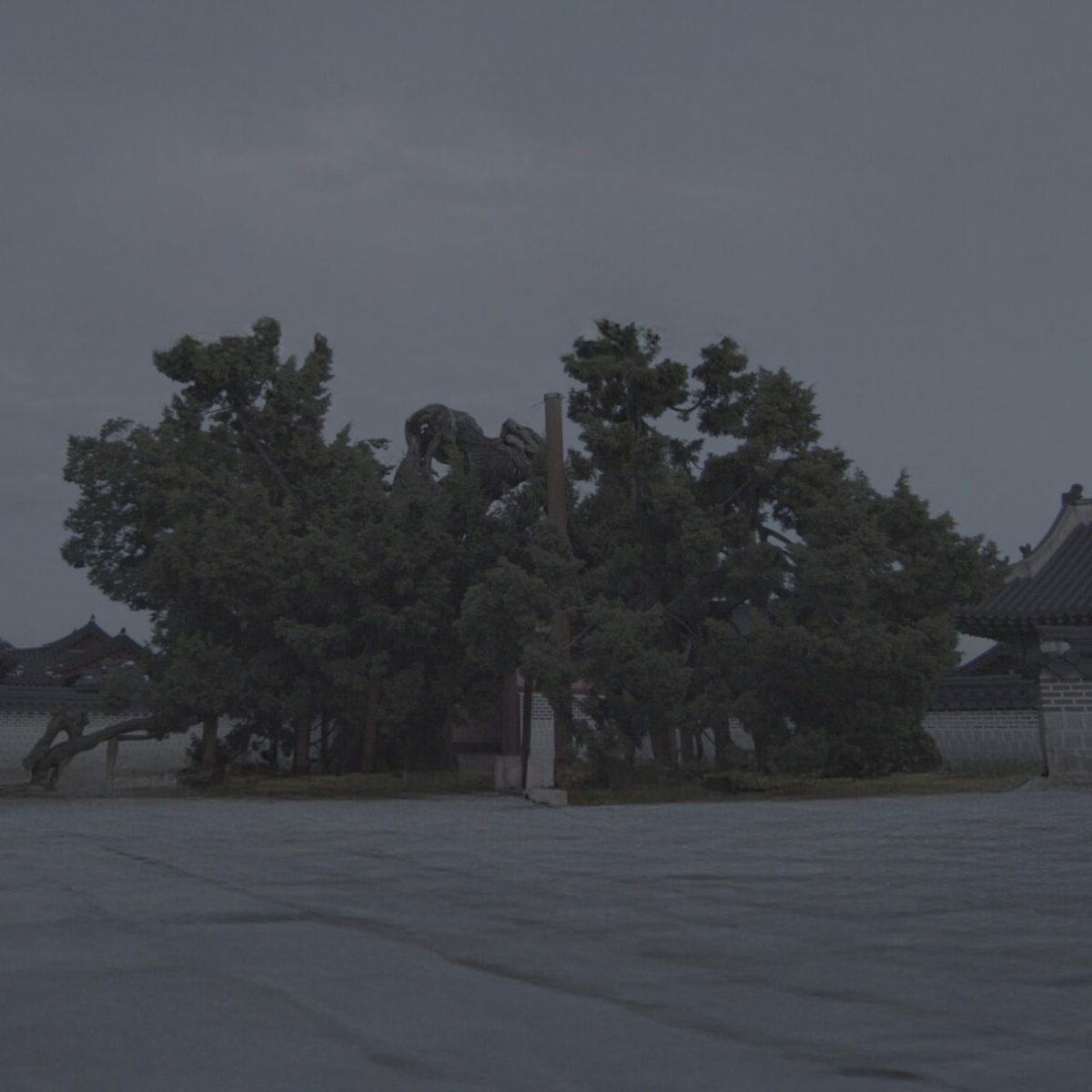 대한제국의 미술, 빛의 길을 꿈꾸다 | 마지막 궁중회화, 빛으로 담다