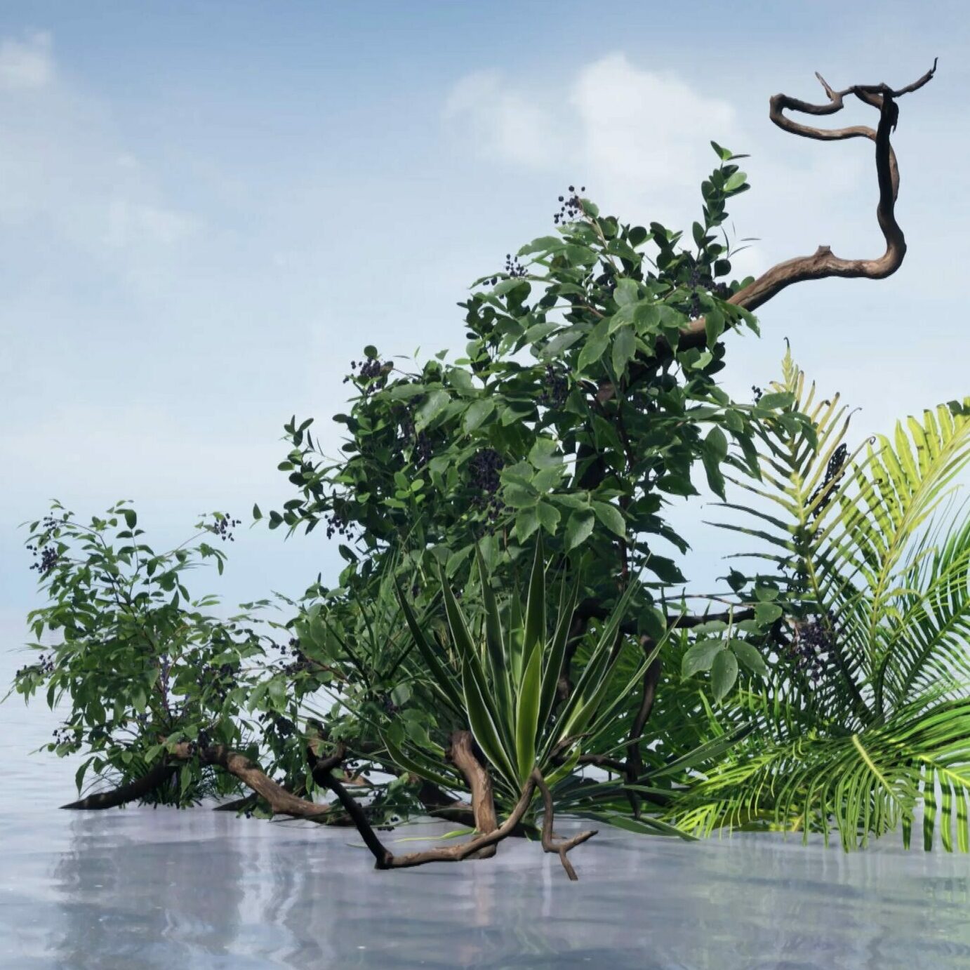 Wrap Around the World | VR 정원(ELLETRAVAILLE Sohee Park, Jeong JinHwa)