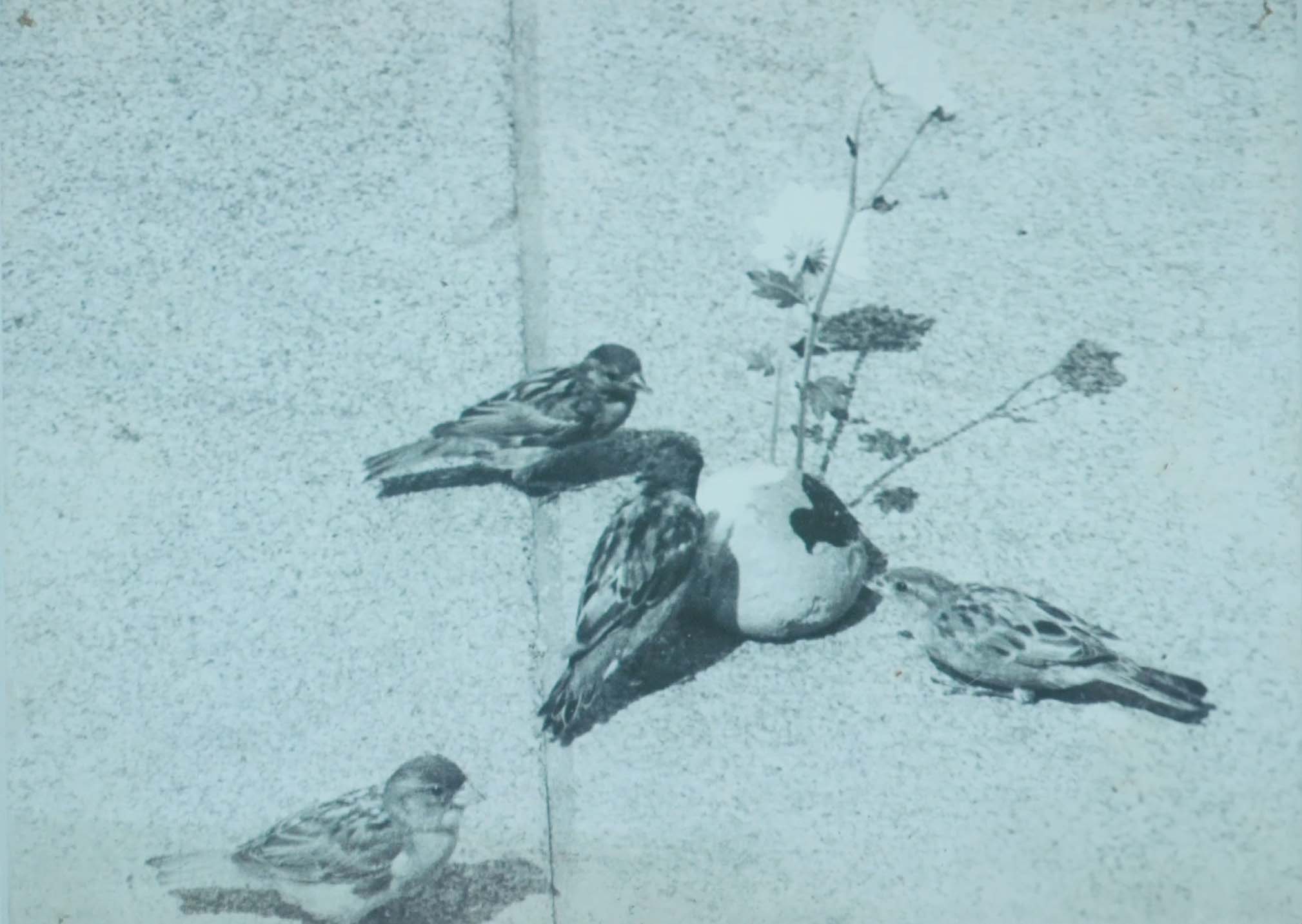 일어나 올라가 임동식 | Museum Night : 김호정