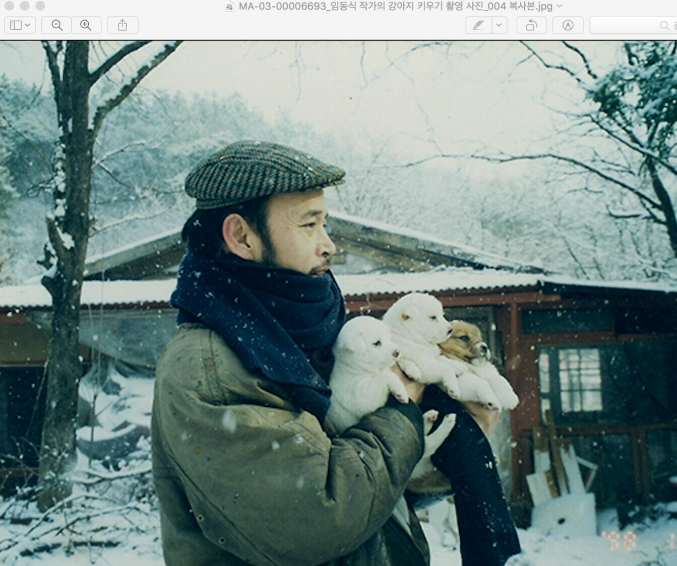 일어나 올라가 임동식 | My favorite archive : 김호정, 송고운, 정아림, 한아영