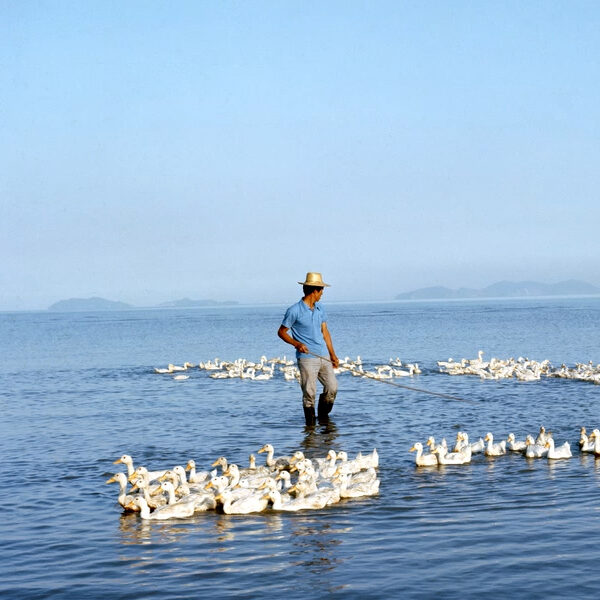 아시아문화 아카이브 | 아시아의 사진 : 강봉규 구술사