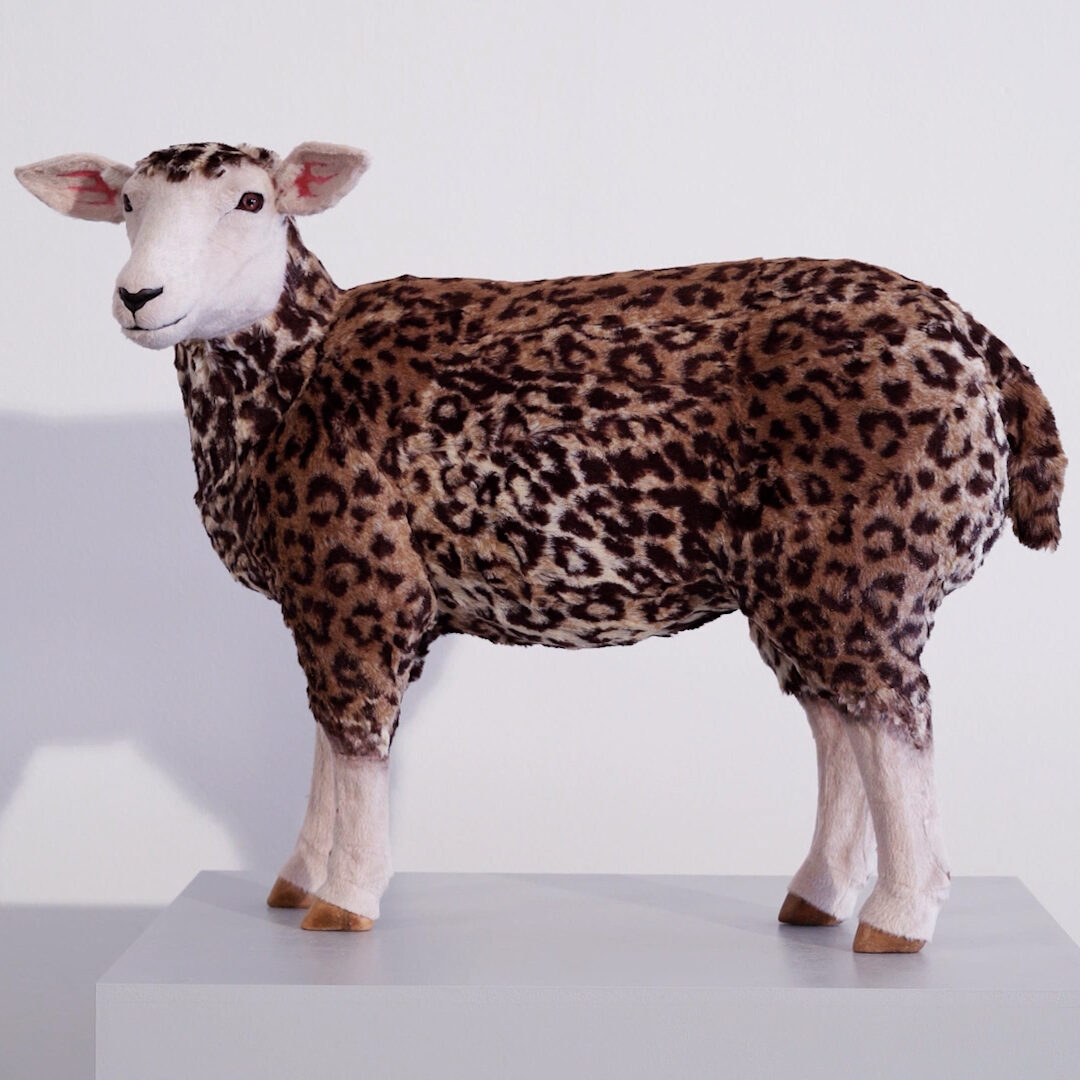 KUKJE GALLERY | Ahn Kyuchul