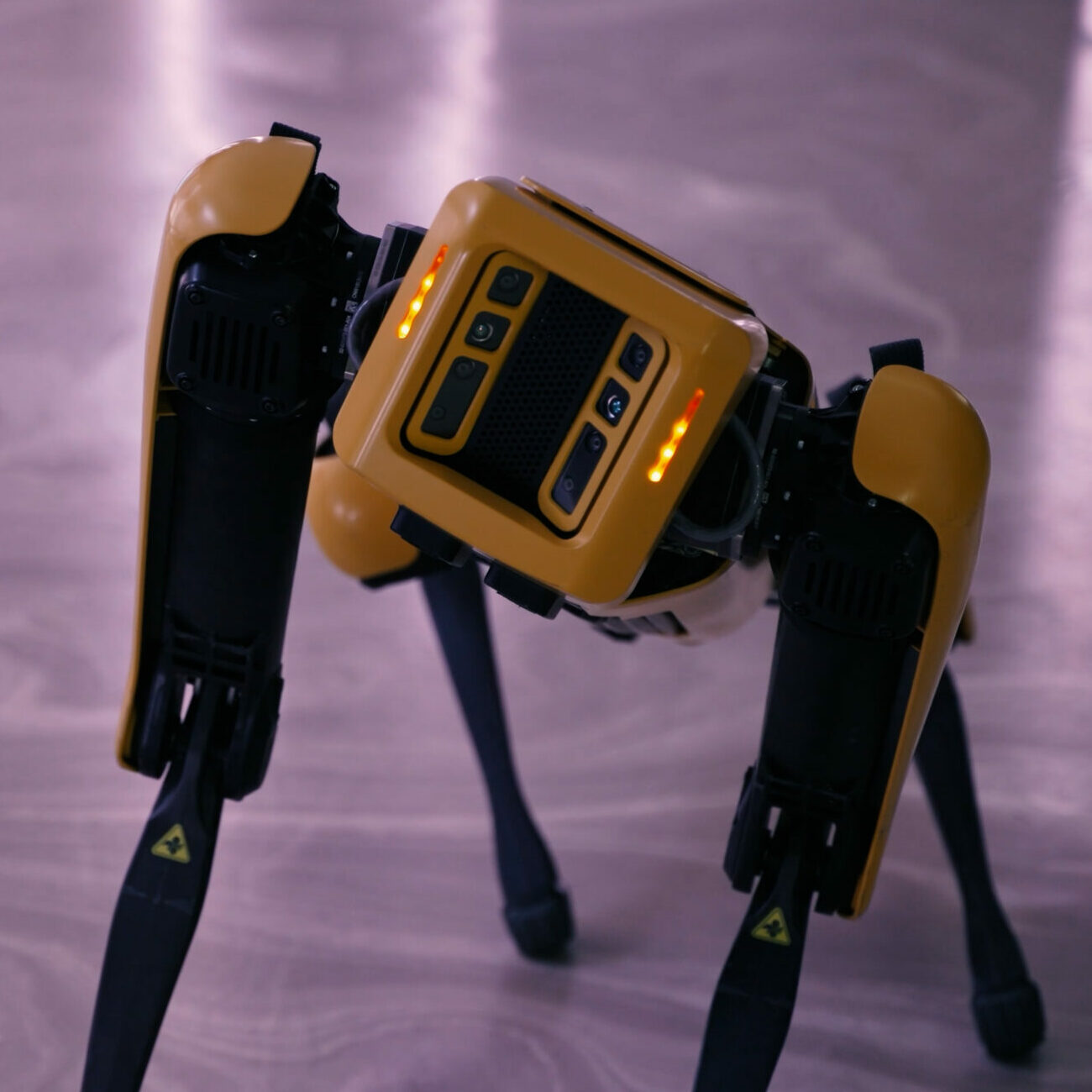 제로원데이 ZER01NE DAY 01 HABITAT