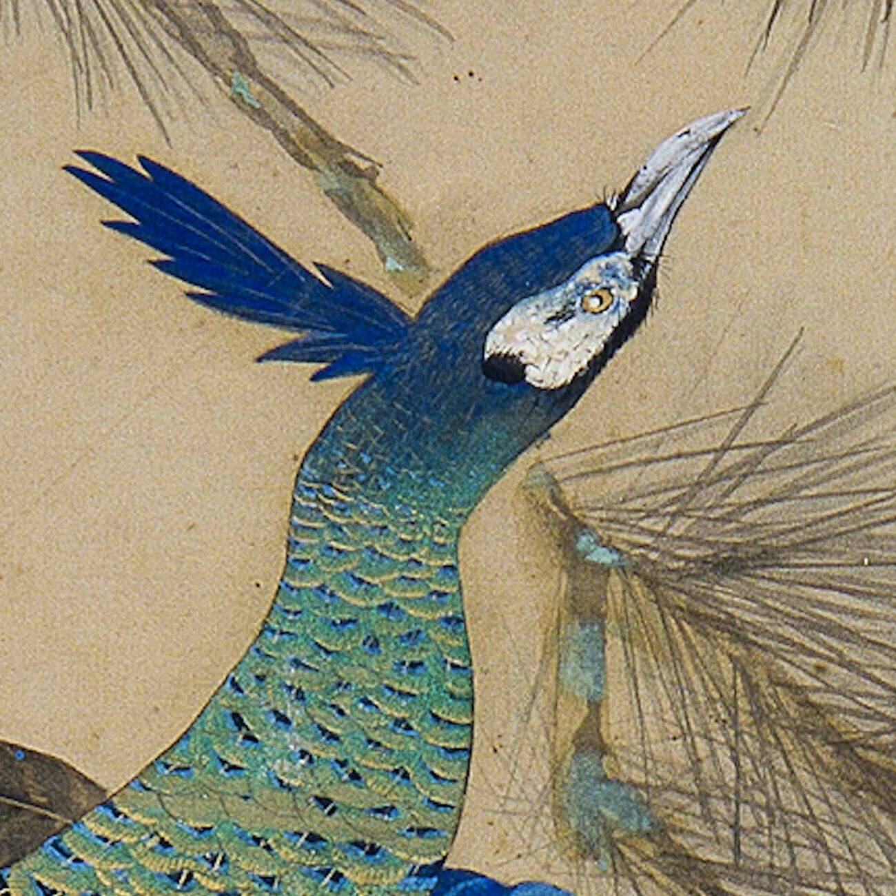 미술관소장품강좌 (정찬영 Jung Chanyoung, 공작 Peacock, 1937)