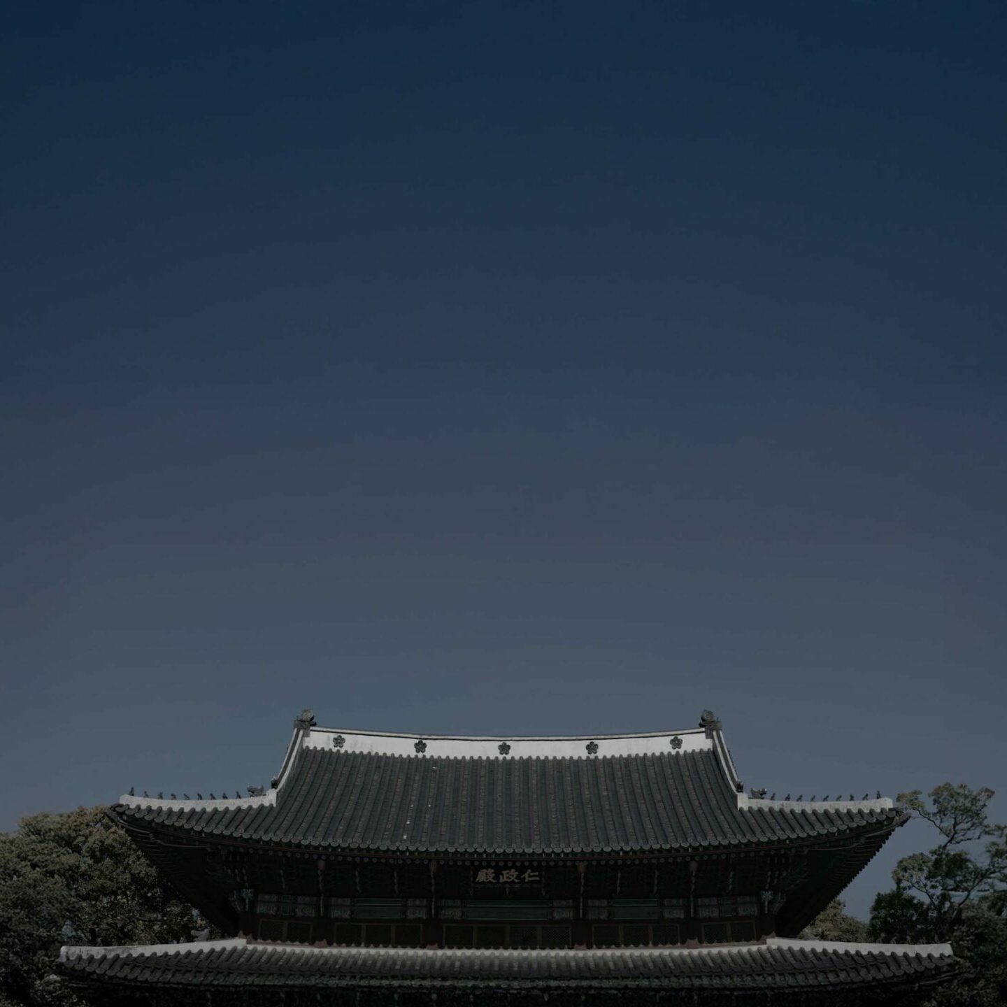 대한제국의 미술, 빛의 길을 꿈꾸다 | '오얏꽃의 역사' 미디어 설치