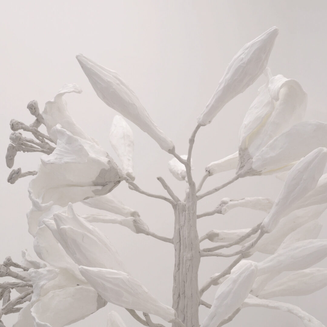 KUKJE GALLERY | 유명한 무명 (Wellknown Unknown)